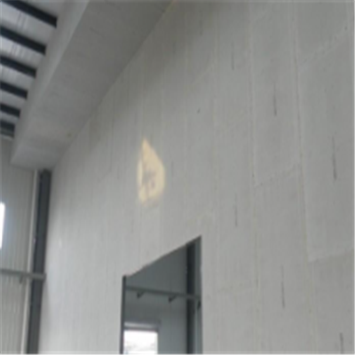 站前宁波ALC板|EPS加气板隔墙与混凝土整浇联接的实验研讨